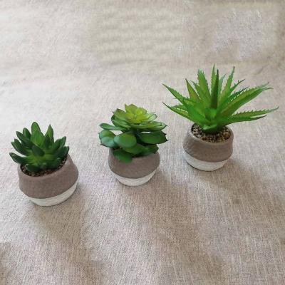 China Office Eco-friendly Wholesale Pot Mini Home Decoration Plastic Faux Artificial Succulents Plants Set for sale