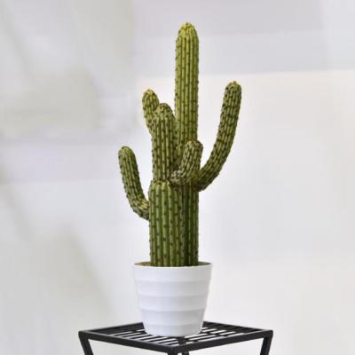 China Saguaro Eco-Friendly Plastic Large Artificial Cactus for sale