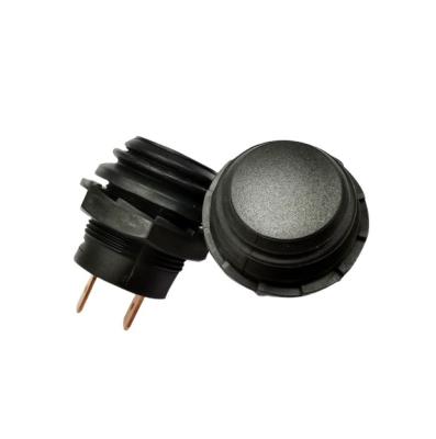 China DC 2 SPST Momentary Function Automotive R13-553A2 Waterproof Push Button Switch for sale