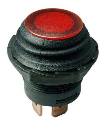 China 3P SPST R13-553B2L 3P STSP car switch waterproof push button switch WITH LED for sale