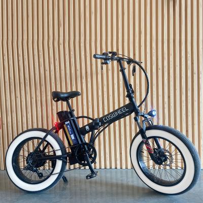 China China Wheel Brand New Electric Bicycle Price Aluminum Alloy FTN Fastest Electric Bike Charging Bike for sale