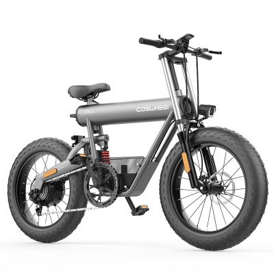 China Velo Electrique E-Bike Vintage Aluminum Alloy Full Suspension 1000w 48v City Electric Bike Electric Bike for sale