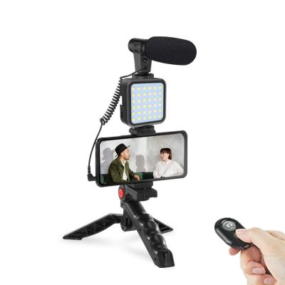 China Live Broadcast PORTABLE LED Video Photographic Lighting Ring Light Remote Vlogging Kit Include Tripod Micphone Led Light Phone Holder for sale