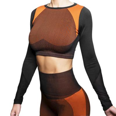 China 2021 Breathable Hot Selling Yoga Long Sleeves Women Long Pants 2 Pieces Set Mesh Yoga Wear Set for sale