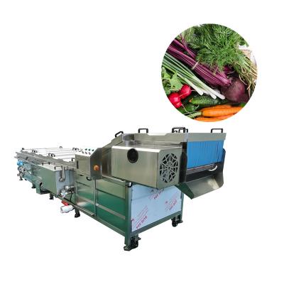 China LEILA Blanching Machine Automatic Production Machine Fruit and Vegetable Tunnel Pasteurization Vegetable Blanching Machine for sale