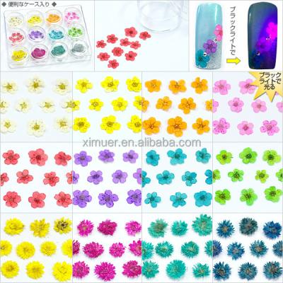 China Wholesale Popular Colorful Nail Sticker Nail Product Flower Nail Sticker for sale