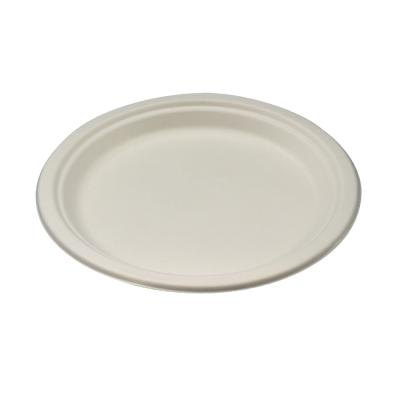 China Wholesale Disposable 12in*10in Begasse Disposable Paper Plate for sale