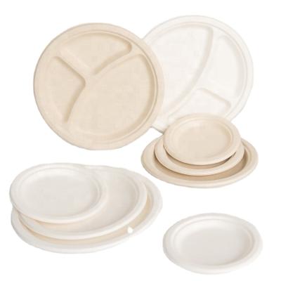 China Biodegradable Recycle Paper Plate Desktop Paper Pulp Mache Plate&Bowl Food Container Bamboo Microwave Ovenproof Trays for sale