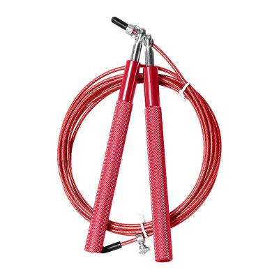 China Gym Exercise Stainless Steel Wire Jump Rope Cross Training Fitness Workout Jump Rope for sale