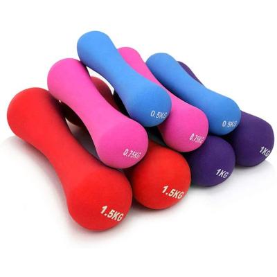 China LXY-167 Home Use Women Weighs Gym Equipment Fitness Dumbbell Set for sale