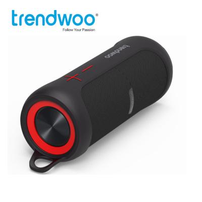 China Mini New Gadget TrendwoPortable Waterproof Radio TWS Bluetooth Mini Speaker Waterproof Radio Trendwoo Bluetooth Instrument for sale