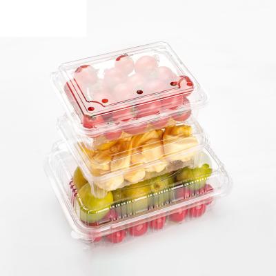 China Disposable Manufacturers Direct Sales Of PP Closed Disposable Plastic Blister Box Fresh-keeping Box For Food for sale