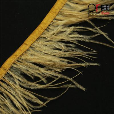 China Ostrich feather dark gold stripe with high quality ostrich feather fabric length 9-11cm for clothes for sale