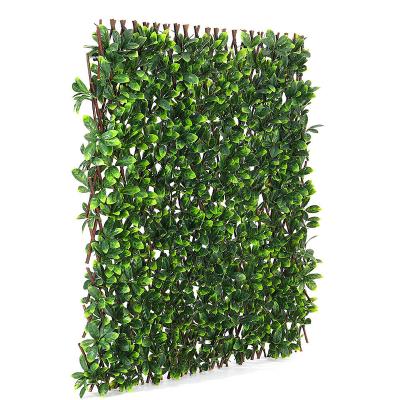 China Ivy Screening Willow Trellis Fence Garden Eco-friendly Artificial Leaf Wooden Hedge Expanding Hedge for sale