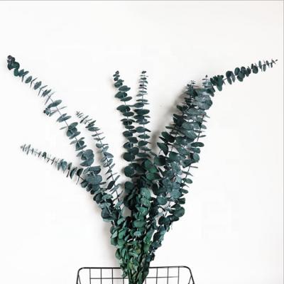 China New popular artificial eucalyptus leaf branches plant for wall decoration for sale