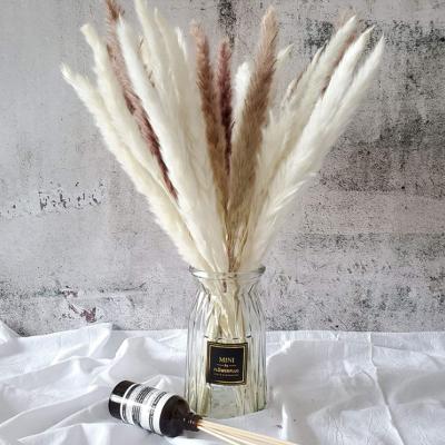 China Natural Customized Multicolor Mixed Pampas Grass Porcelain for sale