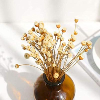 China Real Best Quality Excellent Viewing Dry Flower Bouquet By Material Fashionable Effect For Party for sale