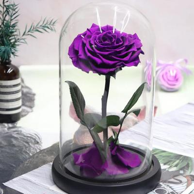 China Real Rose Customized Luxurious Real Touch Natural Glass Dome Preserved Eternal Roses With Gift Box for sale