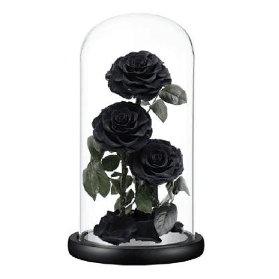 China Real Plant Direct Delicate Appearance Rose Long Stem Everlasting Natural Rose Flower In Glass Dome for sale