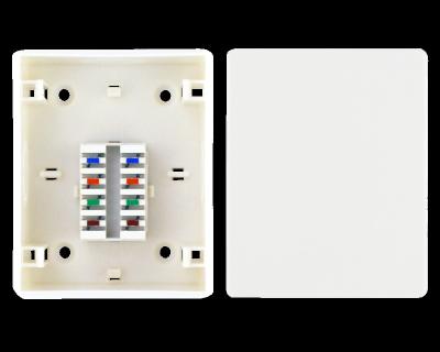 China High Quality Wall Face Plate Network Box NETWORK 4 Distribution Pairs for sale