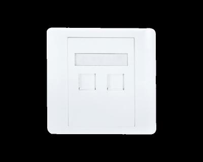 China NETWORK 2 Ports 86X86mm Network Faceplate for sale