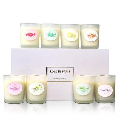 China Birthdays Private Label Durable Frosted Glass Natural Organic Wax Scented Candles Gift Set for sale