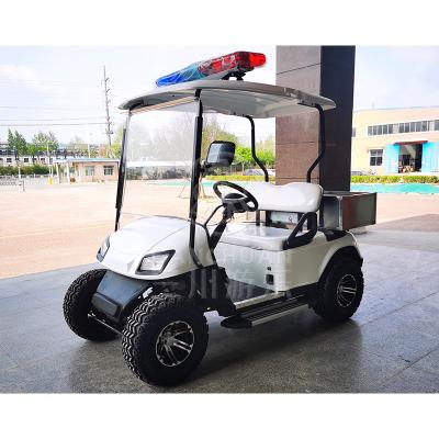 China 2 Passenger Motorized Golf Buggy Electric Car Cargo 2400*1200*1850mmH en venta