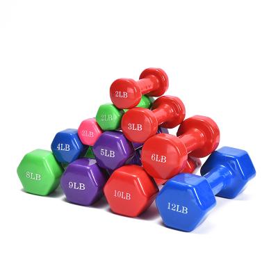 China Private Label Durable Hex Colored Portable 1-9kg Dumbbells For Fitness for sale