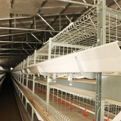 China Poultry House Poultry Broiler Farm Chicken Cage For Broiler House Poultry Farm for sale