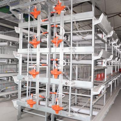 China Poultry House Broiler Cage Equipment Poultry Farming Battery Cages Poultry Farm for sale