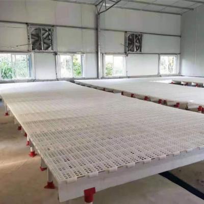 China Easily Assembled Plastic PP Raw Material Poultry Slat Flooring Slats For Broiler Farm Chicken House for sale