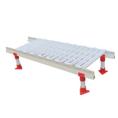 China Easily Assembled Broiler Farm Chicken Farm PP Raw Material Poultry Slat Flooring Price For Broiler Breeder C Layer for sale