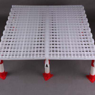 China Easily Assembled Plastic PP Raw Material Poultry Slat Floor Slat Flooring For Broiler Farm Qingdao For Breeder Layer Chick Duck Goose for sale