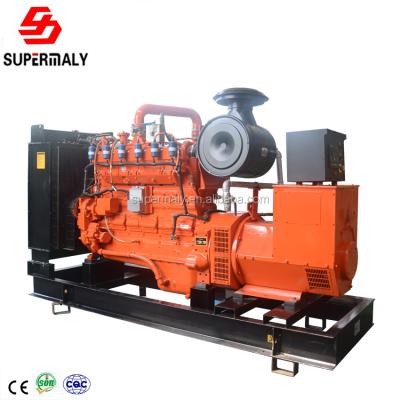 China ATS AMF HOT! 3 phase 4 wire LNG gas generator with low factory price and digital control for sale