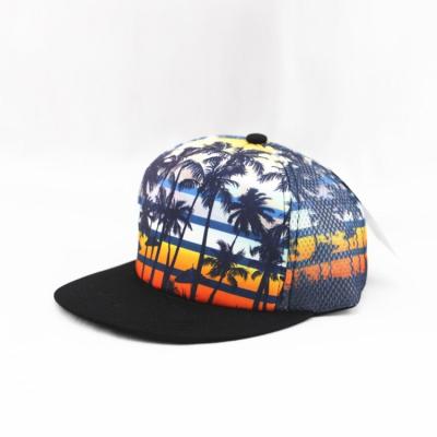 China COMMON Main Product Hat Sublimation Snapback Hat Whole Hip Hop Hat for sale