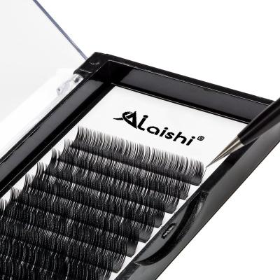 China Natural AILAISHI Automatic Flowering W Shape Bloom 4d W Eyelash Extensions 0.05 0.07 8-15 Natural Soft Light Full Dense Individual Lash for sale