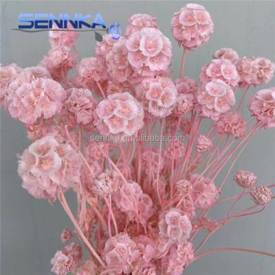 China Beautiful Sennka Flower Bouquet Colorful Wholesale Dry Natural Dried Fruit Windmill Fruit Flowers For Nail Art for sale