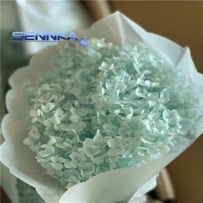 China Green Environmental Protection Enchanted Preserved Fresh Hydrangea With Stem Preserved Flowers Wholesale Dry Flower Valentines Day Gift for sale