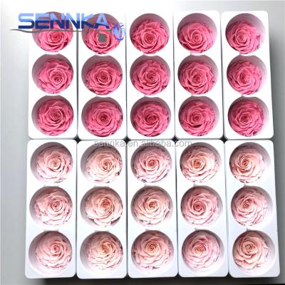 China Wholesale Environmental Protection Green Preserved Rose A Grade Preserved Flowers 7-8cm Eternal Rose For Christmas Valentine's Day for sale