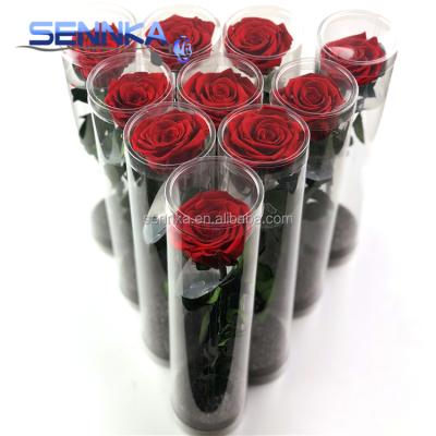 China Environmental Protection Green Shed Natural Long Stem Preserved Rose Preserved Flowers for sale