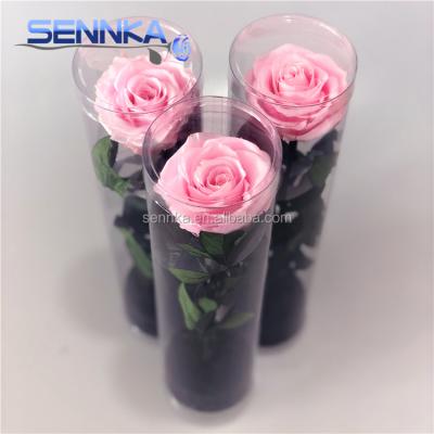 China Green Environmental Protection Preserved Rose Pink Color 5-6cm Long Stem Rose Bud for sale