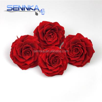 China Green Environmental Protection Hot Sale Christmas Amazing Huge Size Preserved Rose Head for sale