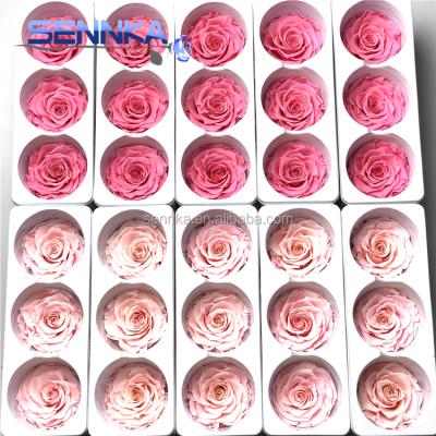 China Green Environmental Protection Preserved Rose Eternal Dried Flower Birthday Party Wedding for sale