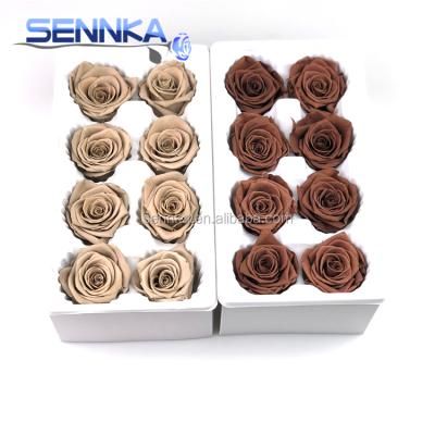 China Environmental Protection Green Preserved Flower Natural Rose Head For DIY Flower Bouquets for sale