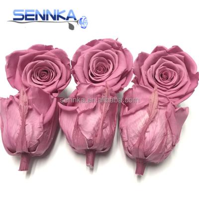 China Environmental Protection China Kunming Green Soft Pink Roses Preserved Holland Rose Flower Stabilized Wholesale for sale