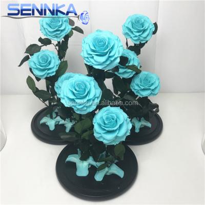 China Real natural preserved roses environmental protection big green eternal roses handing in glass dome/tube for valentine gifts for sale