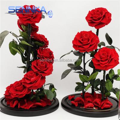 China Green Environmental Protection China Supplier Forever Preserved Rose Flower Fresh Flowers in Giant Glass Dome for sale