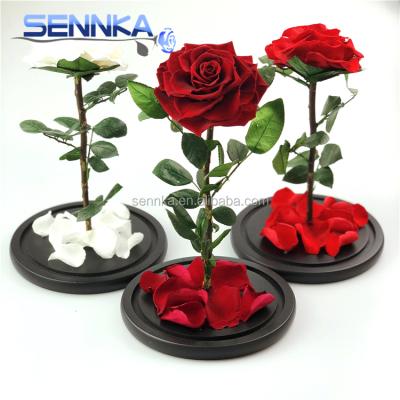 China Using Real Japanese Premier Rose Hot Recommended Wholesale Evergreen Natural Preserved Roses in Glass for sale