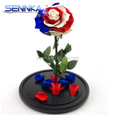 China Wedding SENNKA Custom New Design USA Brand Eternal Preserved Roses Multi Color Rose In Glass Dome for sale