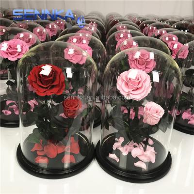 China Using Premier Rose Yunnan Sennka Wholesale Forever Roses Blooms Preserved Roses in Glass Dome for sale